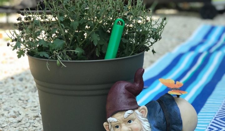 gnome